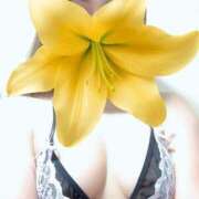 ヒメ日記 2025/08/28 19:01 投稿 あいみ 夜這い茶屋 はなれ