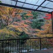 ヒメ日記 2025/11/25 13:00 投稿 ひな クラブリリー