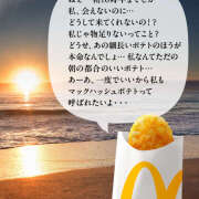 ヒメ日記 2025/11/29 13:08 投稿 ひな クラブリリー