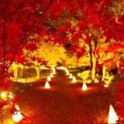 沢北　ようこ 555のTさま♥️ 昼下がりの情事