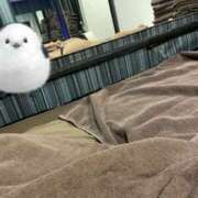 ヒメ日記 2024/12/19 04:24 投稿 なな 神戸3040（神戸サーティフォーティ）