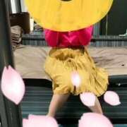 ヒメ日記 2025/04/12 05:04 投稿 なな 神戸3040（神戸サーティフォーティ）