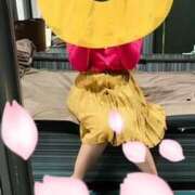 ヒメ日記 2025/04/14 14:54 投稿 なな 神戸3040（神戸サーティフォーティ）