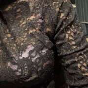 ヒメ日記 2025/05/12 04:54 投稿 なな 神戸3040（神戸サーティフォーティ）