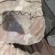 ヒメ日記 2025/05/19 04:55 投稿 なな 神戸3040（神戸サーティフォーティ）