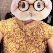 ヒメ日記 2025/07/13 04:44 投稿 なな 神戸3040（神戸サーティフォーティ）