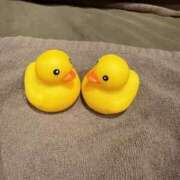 ヒメ日記 2025/07/25 04:04 投稿 なな 神戸3040（神戸サーティフォーティ）