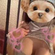 ヒメ日記 2025/10/25 05:04 投稿 なな 神戸3040（神戸サーティフォーティ）