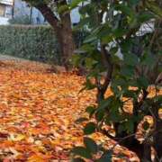 なな おはようございます。 神戸3040（神戸サーティフォーティ）