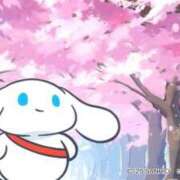 ヒメ日記 2025/04/24 10:26 投稿 すばる ハイ・チュッ