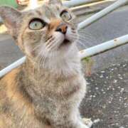 ヒメ日記 2025/07/29 08:45 投稿 すばる ハイ・チュッ