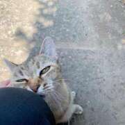 ヒメ日記 2025/10/07 20:32 投稿 すばる ハイ・チュッ