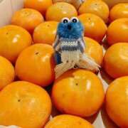 ヒメ日記 2025/12/10 11:11 投稿 すばる ハイ・チュッ