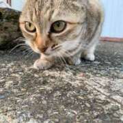 ヒメ日記 2026/03/08 11:42 投稿 すばる ハイ・チュッ