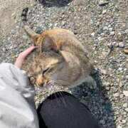 すばる しゅっ きんしてたの昨日ありがと〜 ハイ・チュッ