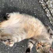 ヒメ日記 2026/09/27 19:02 投稿 すばる ハイ・チュッ