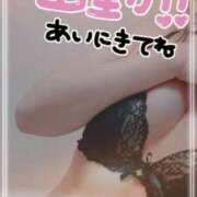 ヒメ日記 2026/08/23 07:33 投稿 七海 MERMAID～マーメイド～