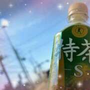 ヒメ日記 2025/05/28 13:22 投稿 玲奈 MERMAID～マーメイド～