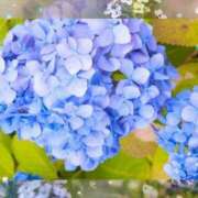 ヒメ日記 2025/06/12 09:54 投稿 玲奈 MERMAID～マーメイド～