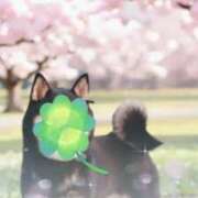 ヒメ日記 2026/04/04 16:34 投稿 玲奈 MERMAID～マーメイド～