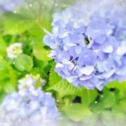 ヒメ日記 2026/06/05 11:39 投稿 玲奈 MERMAID～マーメイド～
