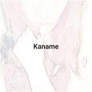 相葉かなめ 明日から 錦糸町快楽M性感倶楽部～前立腺マッサージ専門～