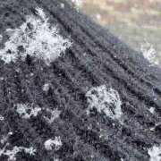 ヒメ日記 2026/02/08 11:49 投稿 ひかる プレイガール(亀有)