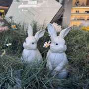 ヒメ日記 2026/03/02 15:58 投稿 ひかる プレイガール(亀有)