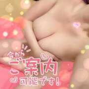 ヒメ日記 2025/04/10 08:02 投稿 リナ カワサキ EROTIC