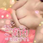 ヒメ日記 2026/07/11 08:02 投稿 リナ カワサキ EROTIC