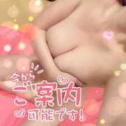 ヒメ日記 2026/07/28 07:31 投稿 リナ カワサキ EROTIC
