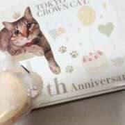 ヒメ日記 2025/02/11 22:12 投稿 ちほ コートダジュール