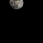 ヒメ日記 2025/02/14 01:00 投稿 ちほ コートダジュール