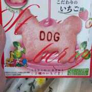 ヒメ日記 2025/05/20 23:27 投稿 ちほ コートダジュール