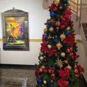 ヒメ日記 2025/12/15 00:46 投稿 ちほ コートダジュール