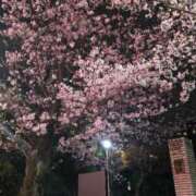 ヒメ日記 2026/03/30 23:01 投稿 ちほ コートダジュール