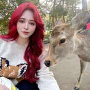 ヒメ日記 2026/02/13 10:19 投稿 神咲 麗菜 Dolce～ドルチェ～