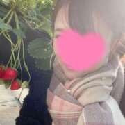 ヒメ日記 2025/02/13 10:11 投稿 あやな 浜松人妻援護会