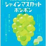 ヒメ日記 2025/02/28 09:20 投稿 あやな 浜松人妻援護会