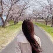 ヒメ日記 2025/03/30 14:04 投稿 あやな 浜松人妻援護会