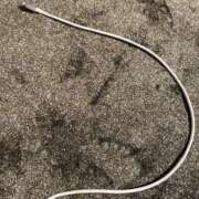 ヒメ日記 2025/11/07 21:19 投稿 あやな 浜松人妻援護会