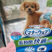 ヒメ日記 2026/01/04 11:54 投稿 あやな 浜松人妻援護会