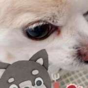 ヒメ日記 2026/02/02 12:25 投稿 あやな 浜松人妻援護会