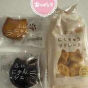 ヒメ日記 2025/06/20 23:06 投稿 みさき 快楽玉乱堂