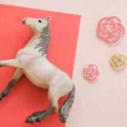 ヒメ日記 2026/01/02 17:16 投稿 みさき 快楽玉乱堂