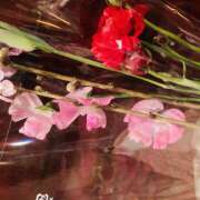 ヒメ日記 2025/02/27 19:50 投稿 みなみ R（アール）