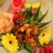 ヒメ日記 2025/03/11 08:45 投稿 みなみ R（アール）