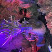 ヒメ日記 2025/05/05 21:20 投稿 みなみ R（アール）