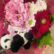 ヒメ日記 2025/06/14 08:45 投稿 みなみ R（アール）