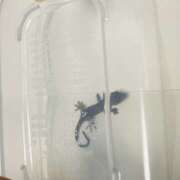 ヒメ日記 2025/10/10 08:45 投稿 みなみ R（アール）